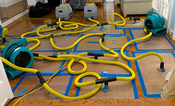 Professional Burst Pipe Water Damage technician working in Suffern, NY